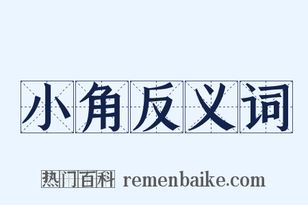 小角反义词是什么意思的图片